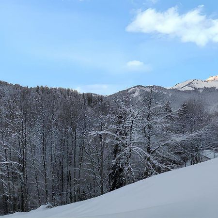Appartement Confortable Avec Vue Sur La Montagne 노르트 담 드 벨레콤 외부 사진