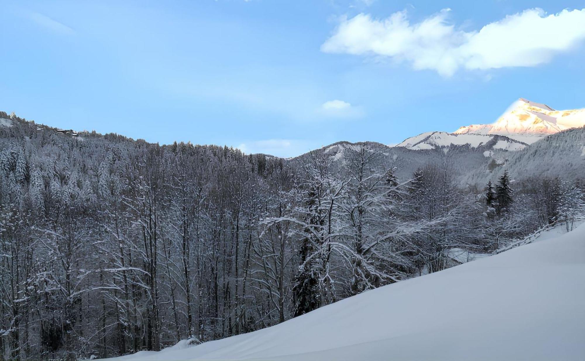 Appartement Confortable Avec Vue Sur La Montagne 노르트 담 드 벨레콤 외부 사진